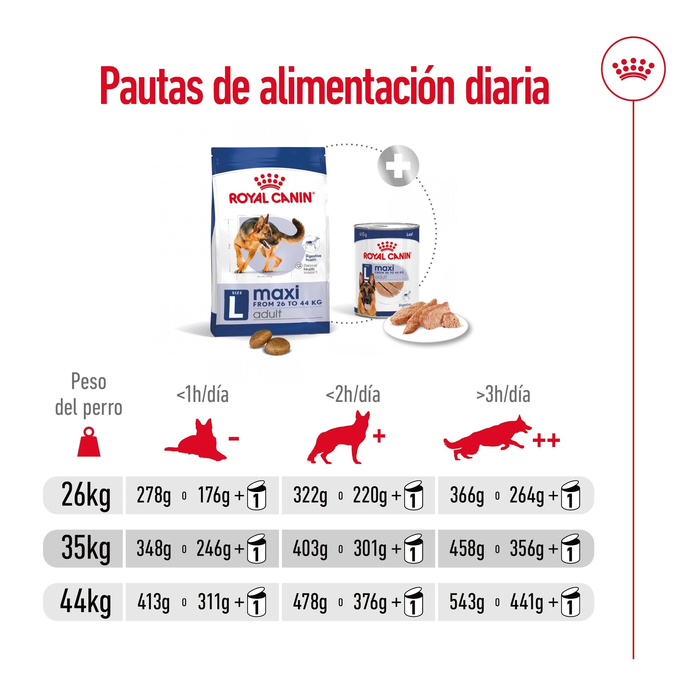 Royal Canin Maxi Adult Pienso para Perros al mejor precio -Todoanimal.es