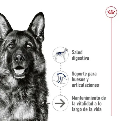 Royal Canin Maxi Ageing 410gr lata perro húmedo ROYAL CANIN IBÉRICA S.A.U.