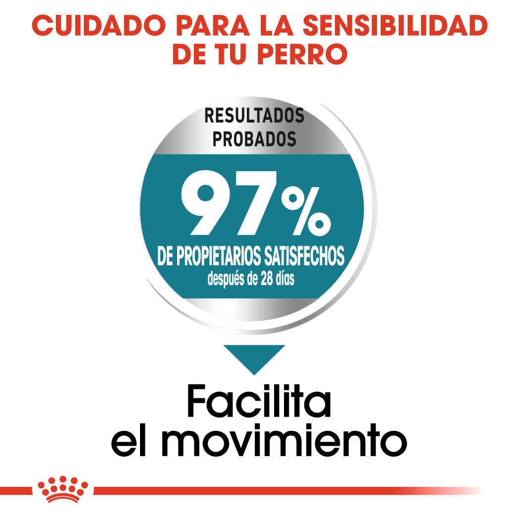 Royal Canin Maxi Joint Care Pienso para Perros al mejor precio -Todoanimal.es