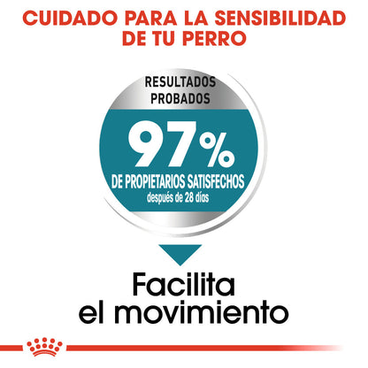 Royal Canin Maxi Joint Care Pienso para Perros al mejor precio -Todoanimal.es