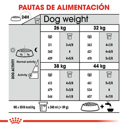Royal Canin Maxi Joint Care Pienso para Perros al mejor precio -Todoanimal.es