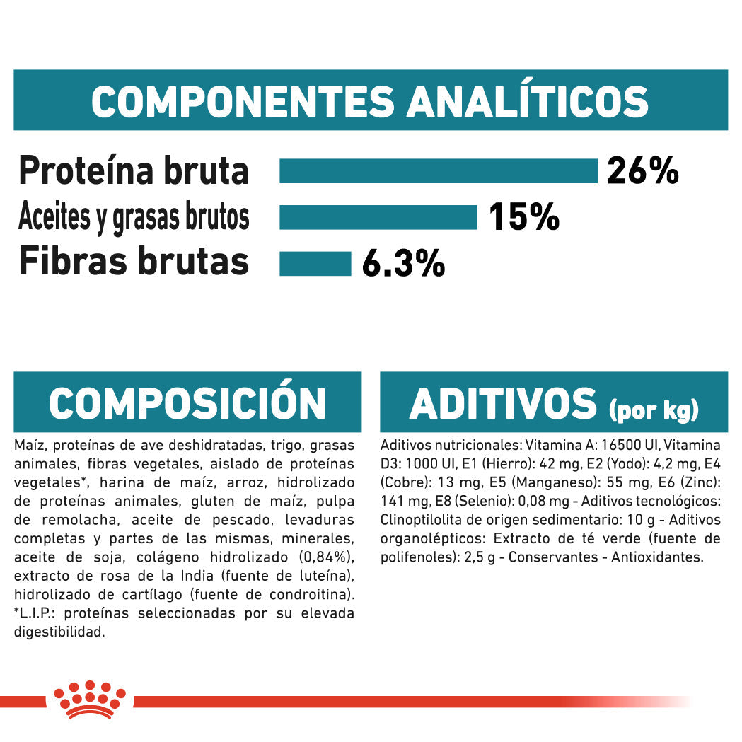 Royal Canin Maxi Joint Care Pienso para Perros al mejor precio -Todoanimal.es