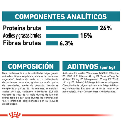 Royal Canin Maxi Joint Care Pienso para Perros al mejor precio -Todoanimal.es