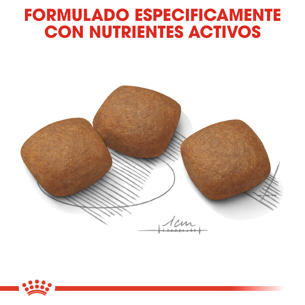 Royal Canin Maxi Joint Care Pienso para Perros al mejor precio -Todoanimal.es