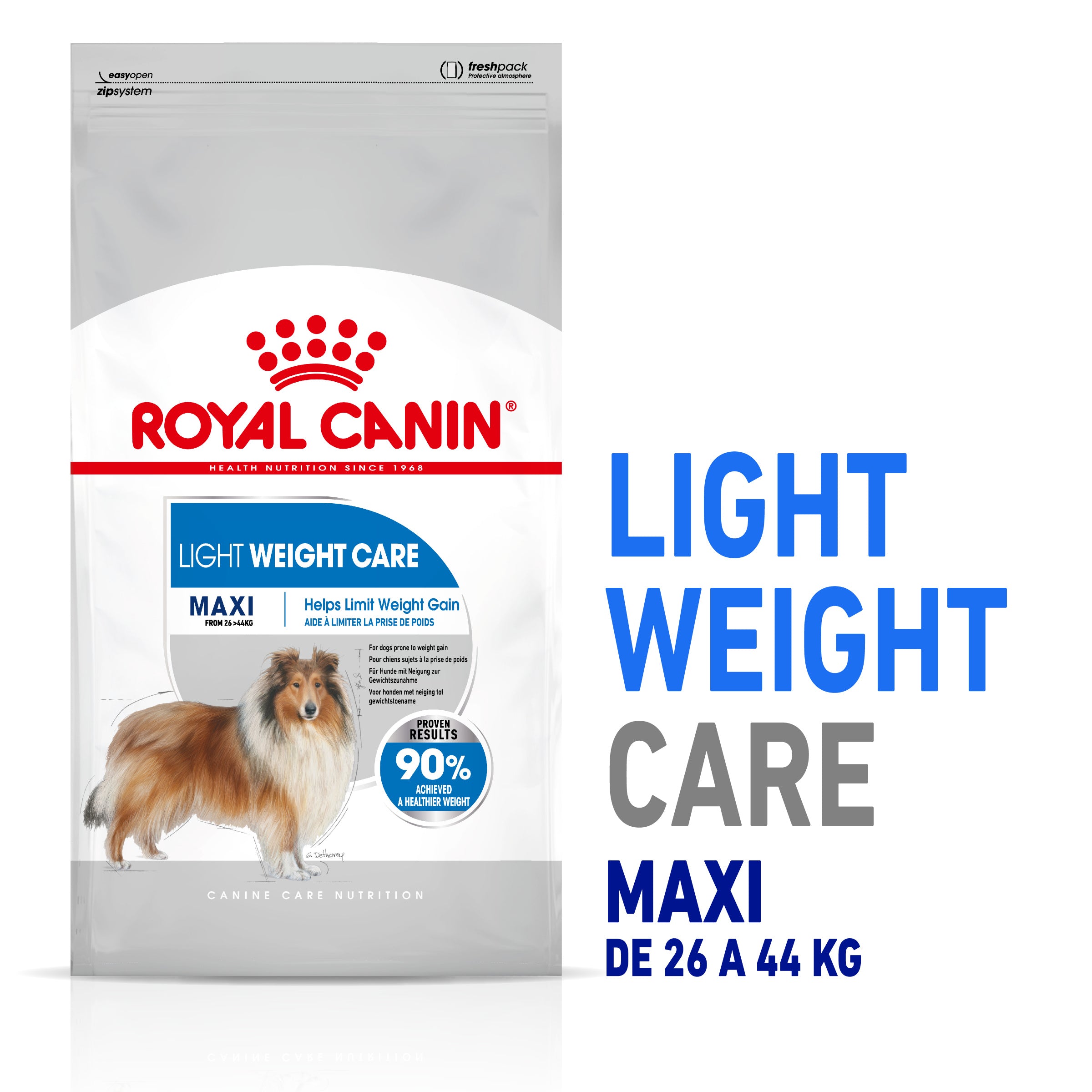 Royal Canin Maxi Light Weight Care Pienso para Perros al mejor precio -Todoanimal.es