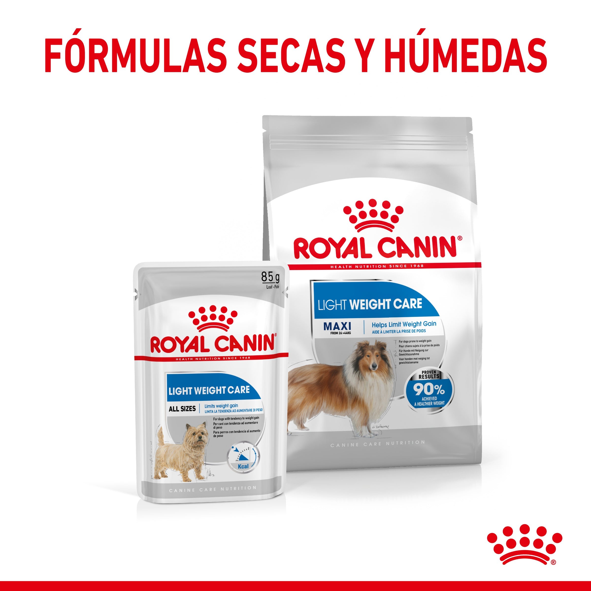 Royal Canin Maxi Light Weight Care Pienso para Perros al mejor precio -Todoanimal.es