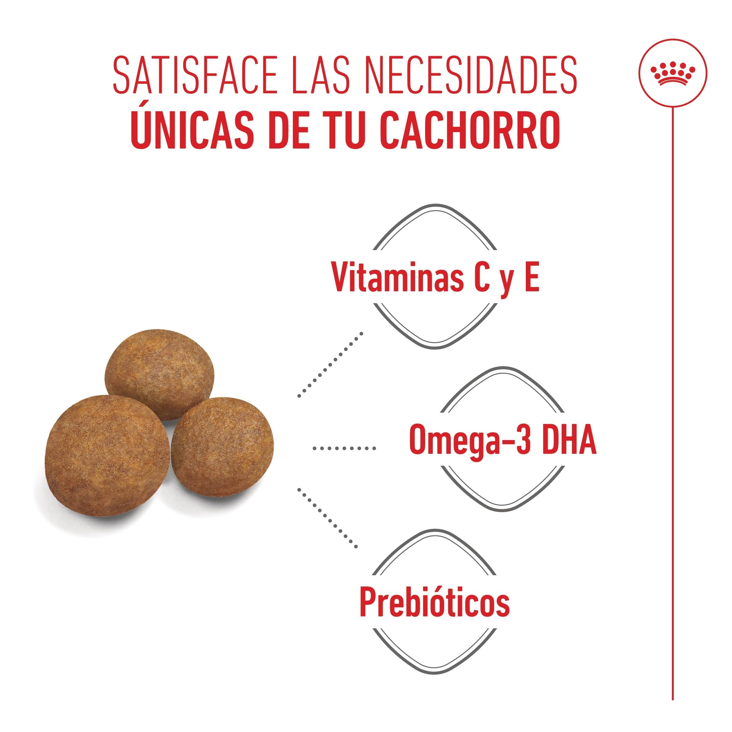 Royal Canin Maxi Puppy Pienso para Cachorros al mejor precio -Todoanimal.es