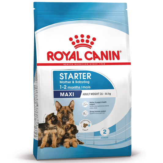 Royal Canin Maxi Starter Mother & Babydog Pienso para Cachorros y Madres Lactantes al mejor precio -Todoanimal.es