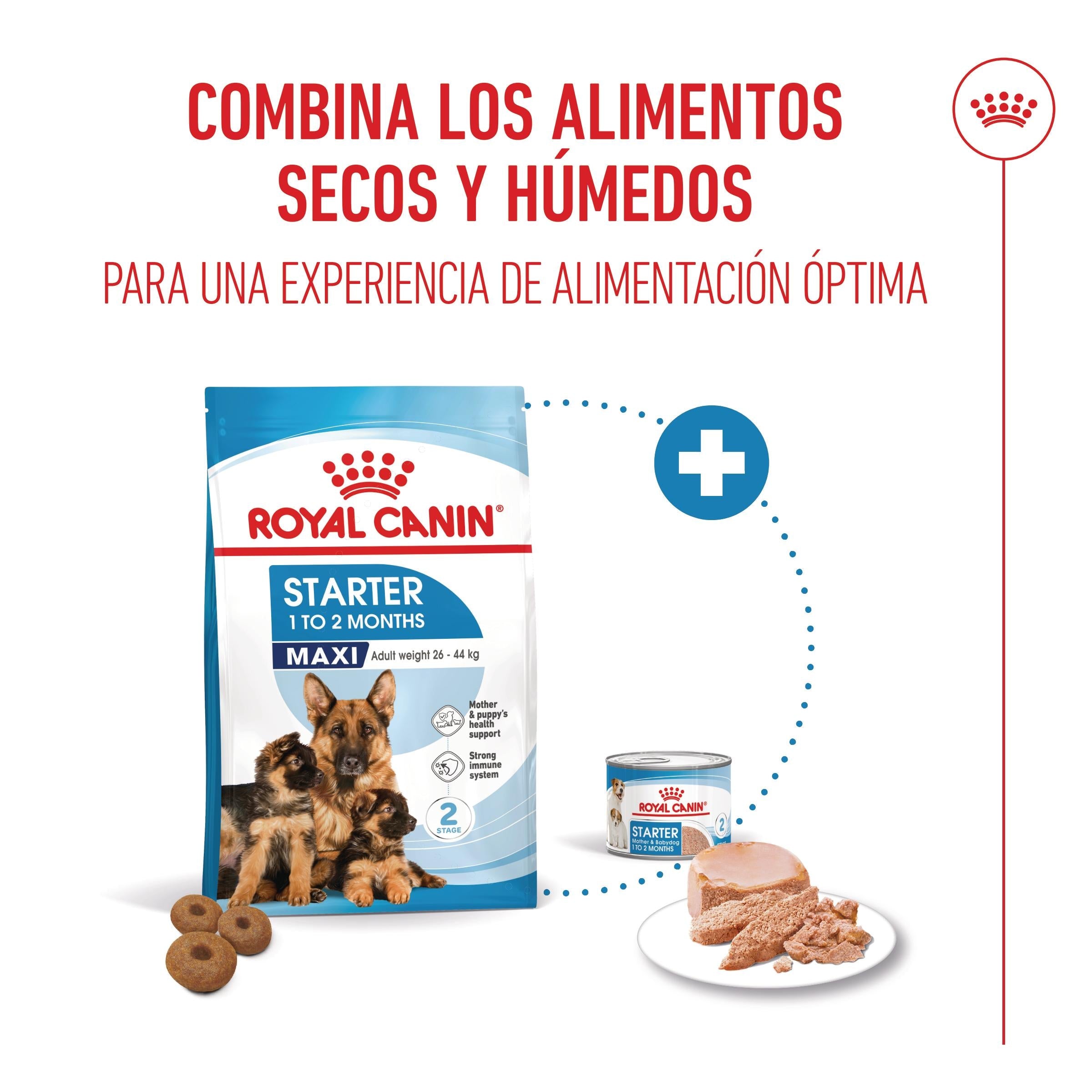 Royal Canin Maxi Starter Mother & Babydog Pienso para Cachorros y Madres Lactantes al mejor precio -Todoanimal.es