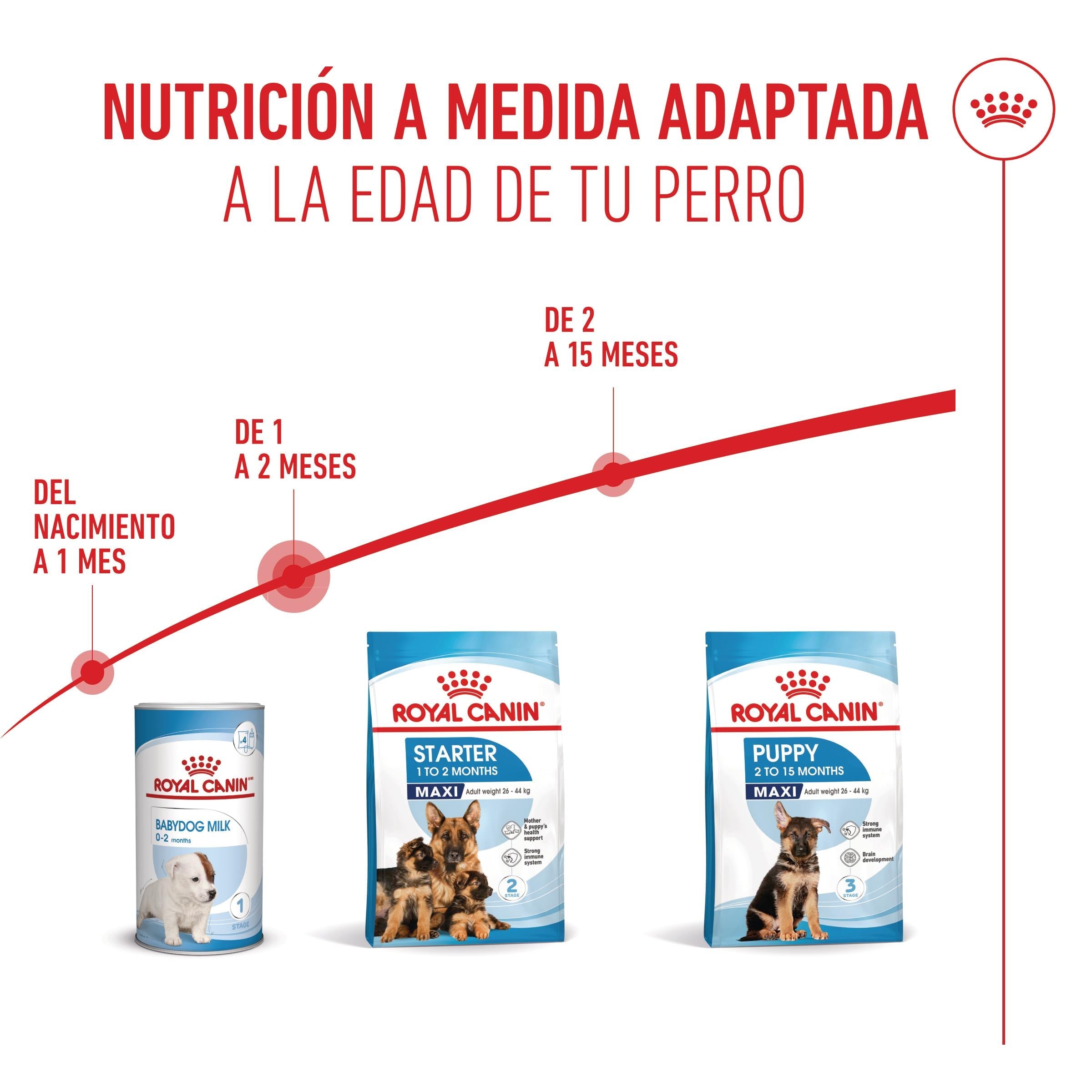 Royal Canin Maxi Starter Mother & Babydog Pienso para Cachorros y Madres Lactantes al mejor precio -Todoanimal.es
