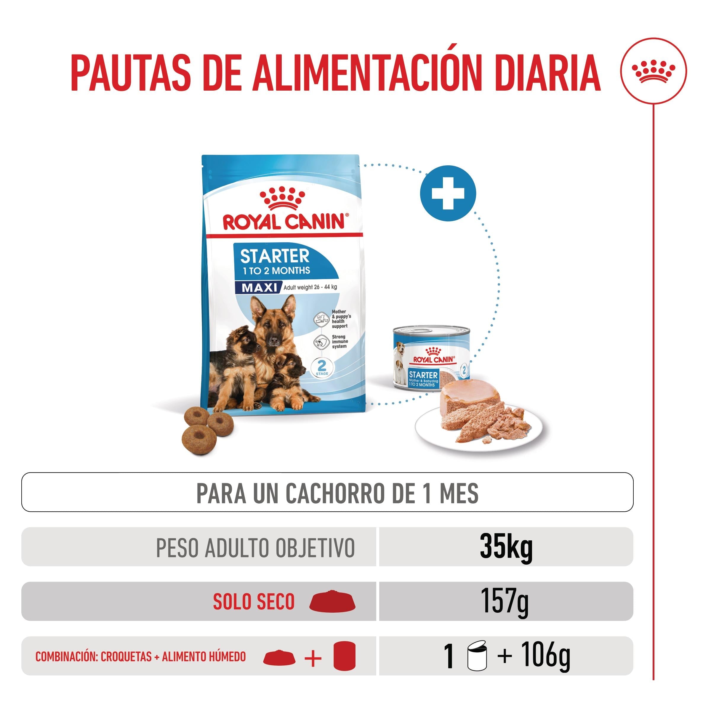 Royal Canin Maxi Starter Mother & Babydog Pienso para Cachorros y Madres Lactantes al mejor precio -Todoanimal.es