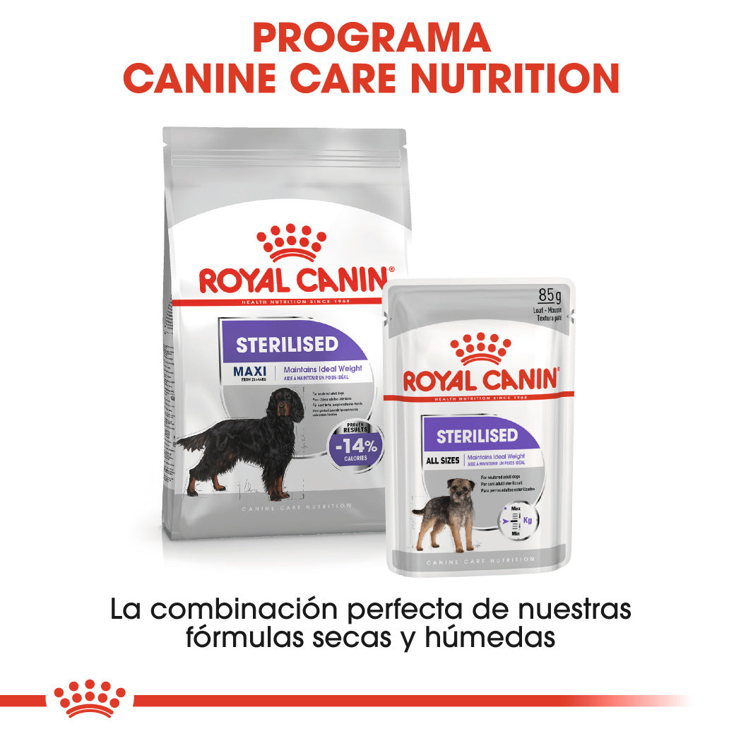 Royal Canin Maxi Sterilized Care Pienso para Perros Esterilizados al mejor precio -Todoanimal.es