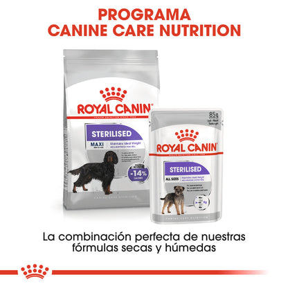 Royal Canin Maxi Sterilized Care Pienso para Perros Esterilizados al mejor precio -Todoanimal.es