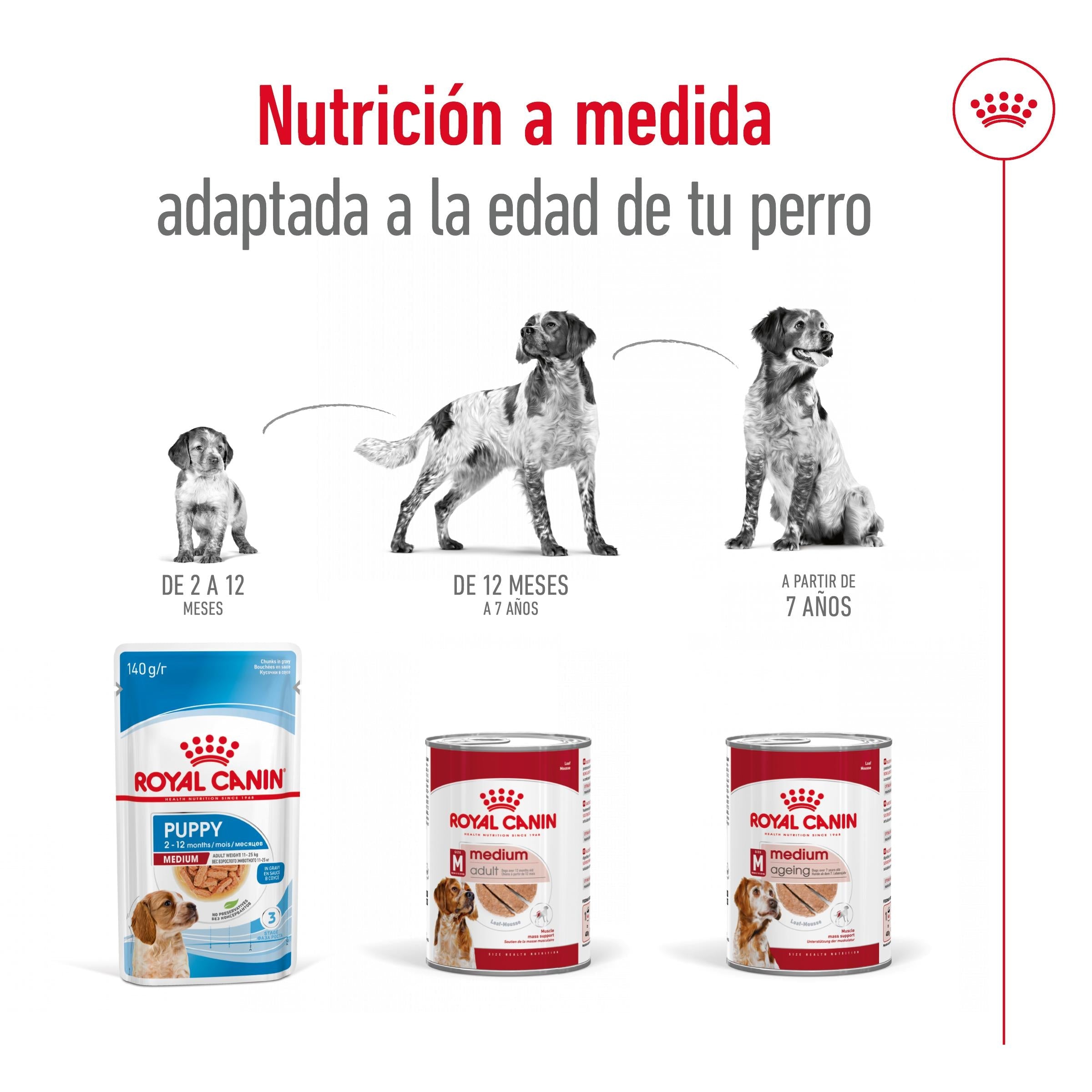 Royal Canin Medium Adult 410 g lata perro húmedo al mejor precio -Todoanimal.es