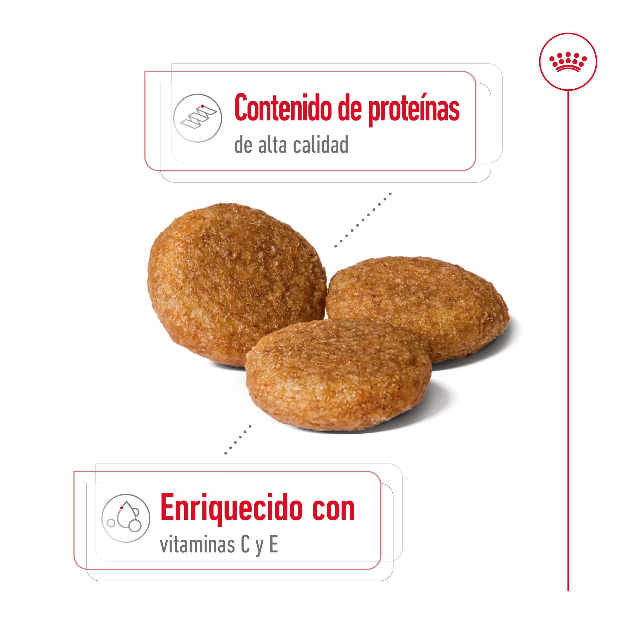 Royal Canin Medium Adult Pienso para Perros al mejor precio -Todoanimal.es