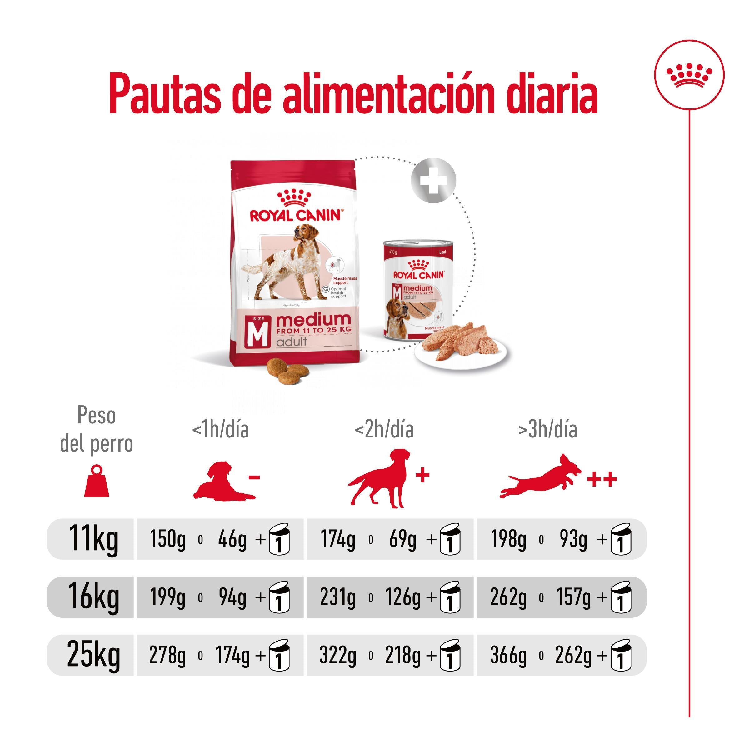 Royal Canin Medium Adult Pienso para Perros al mejor precio -Todoanimal.es