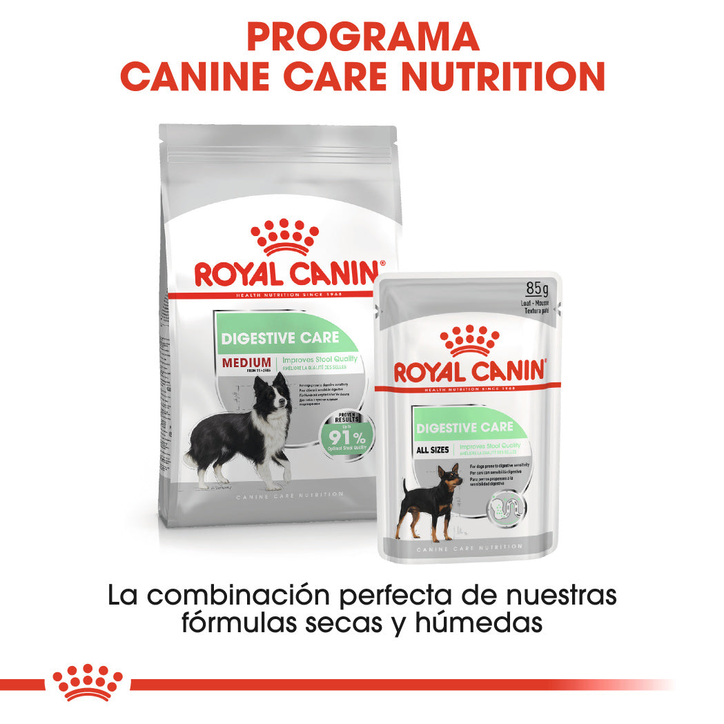 Royal Canin Medium Digestive Care Pienso para Perros al mejor precio -Todoanimal.es