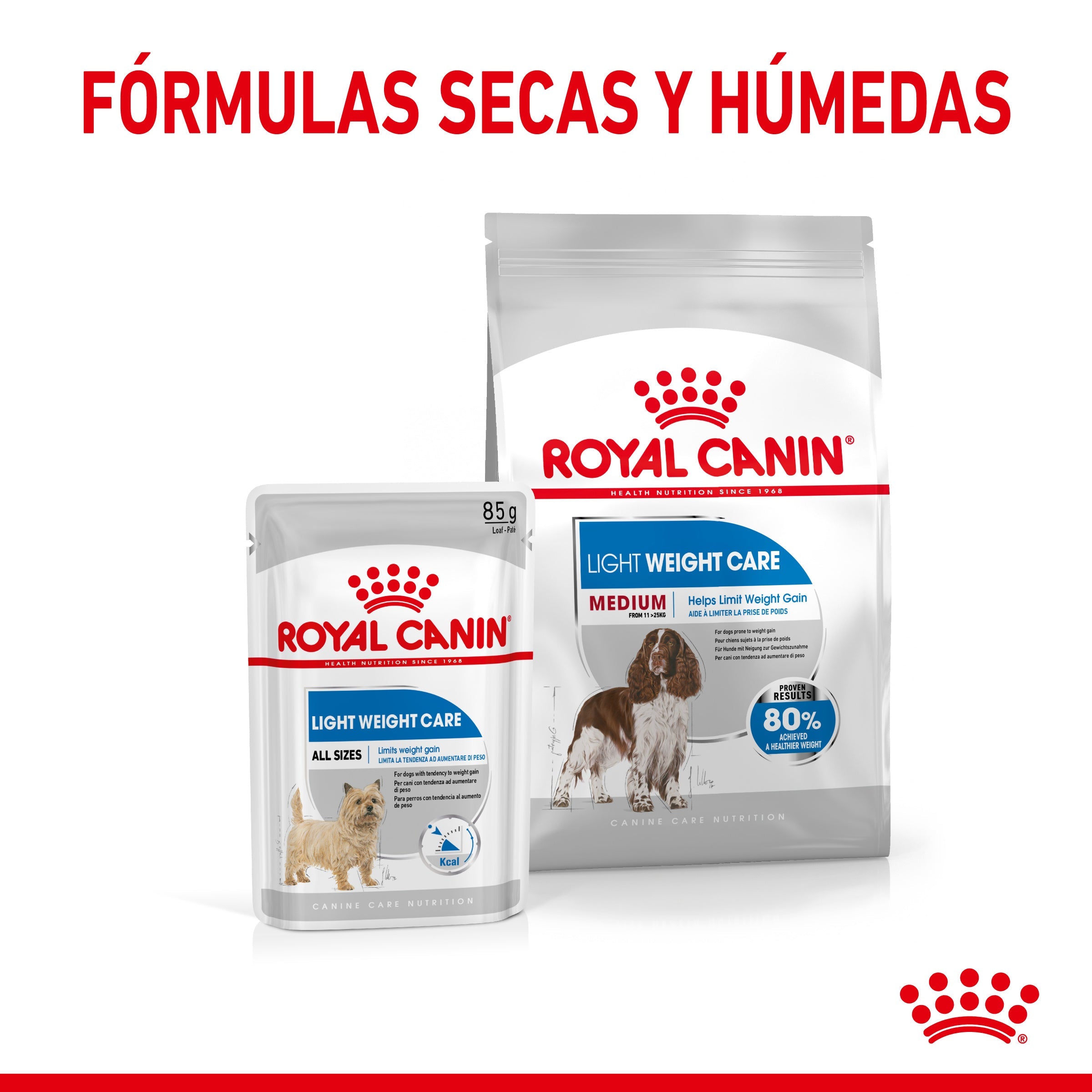 Royal Canin Medium Light Weight Care Pienso para Perros al mejor precio -Todoanimal.es