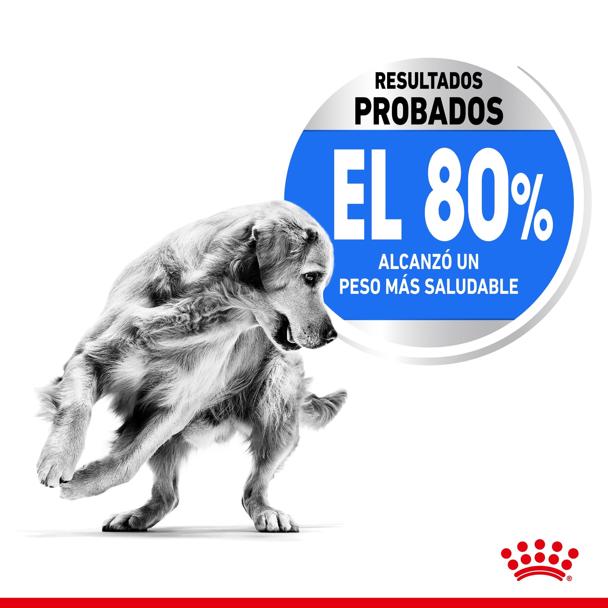 Royal Canin Medium Light Weight Care Pienso para Perros al mejor precio -Todoanimal.es
