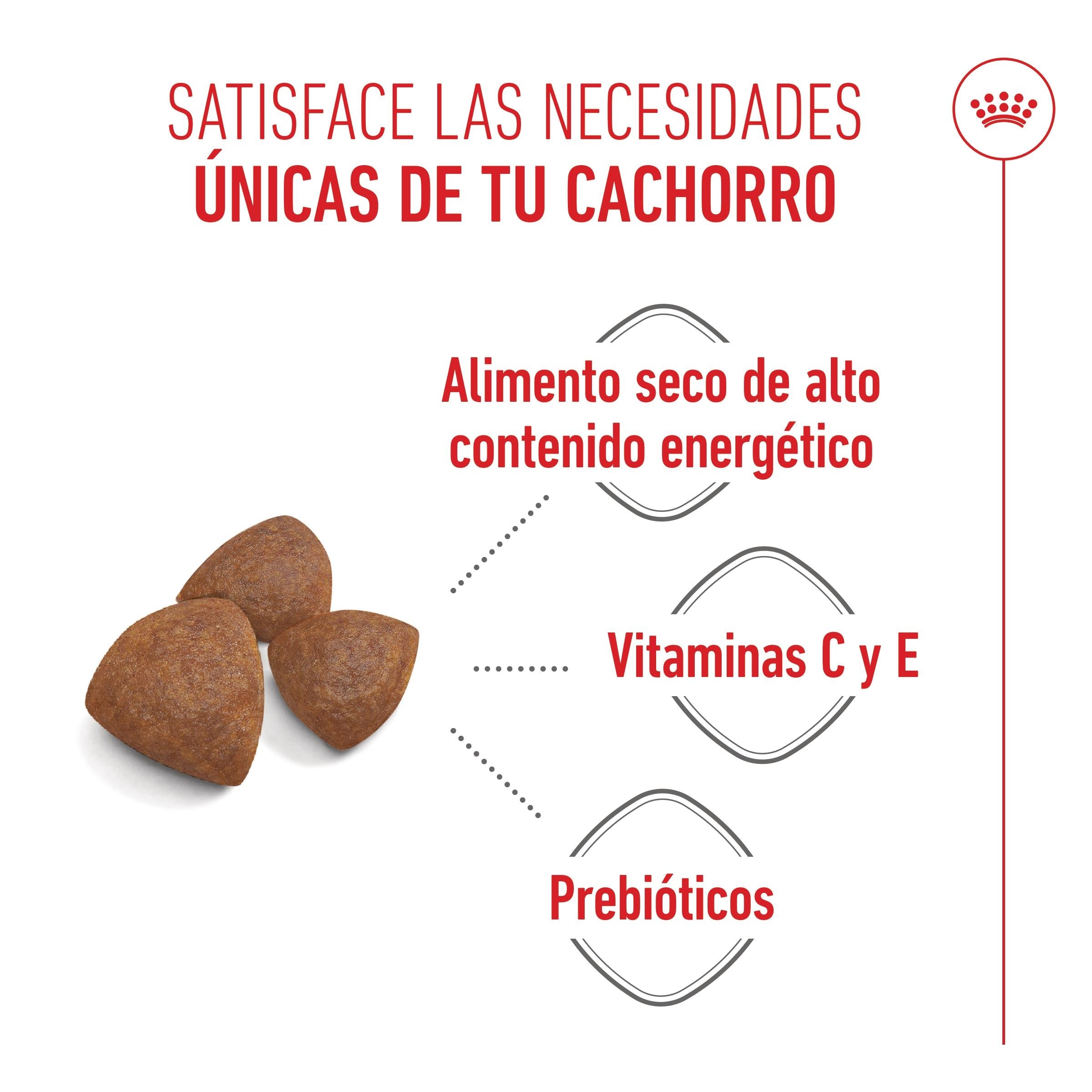 Royal Canin Medium Starter Mother & Babydog Pienso para Cachorros y Madres Lactantes al mejor precio -Todoanimal.es