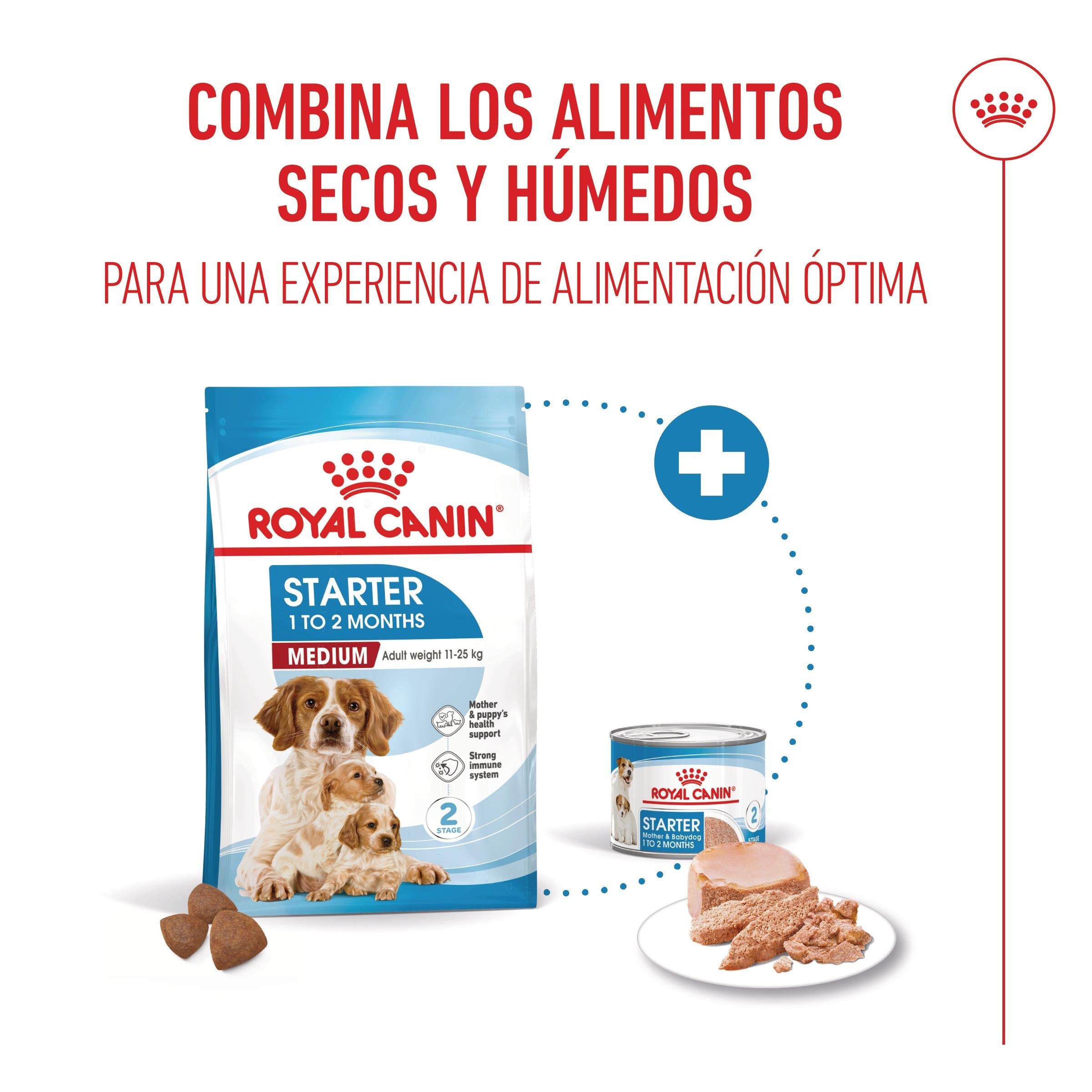 Royal Canin Medium Starter Mother & Babydog Pienso para Cachorros y Madres Lactantes al mejor precio -Todoanimal.es