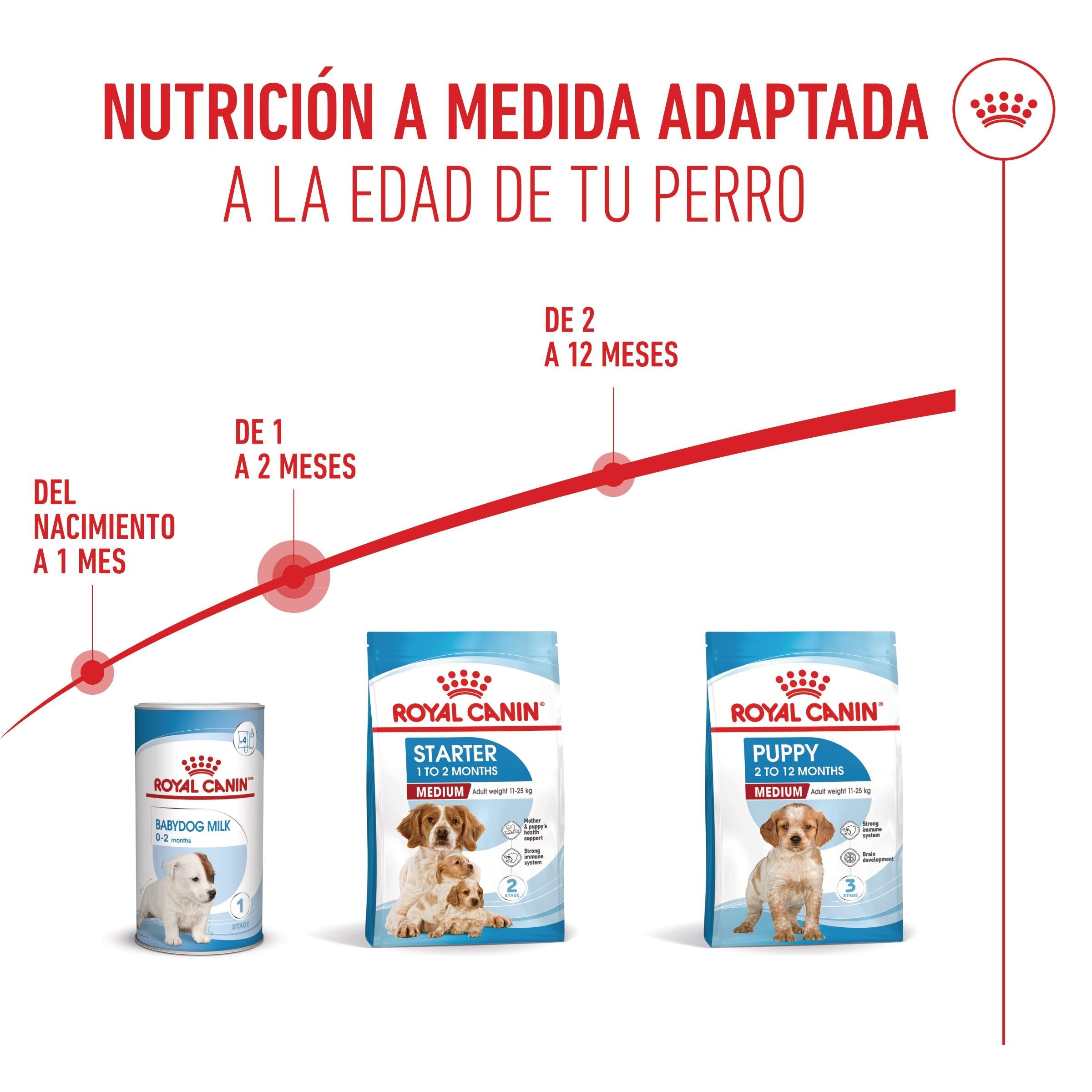 Royal Canin Medium Starter Mother & Babydog Pienso para Cachorros y Madres Lactantes al mejor precio -Todoanimal.es