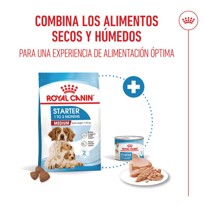 Royal Canin Medium Starter Mother & Babydog al mejor precio -Todoanimal.es