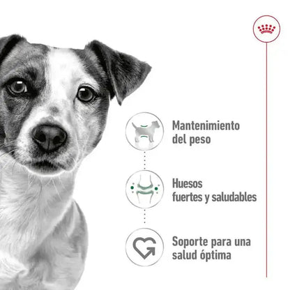 Royal Canin Mini Adult 195gr lata perro húmedo ROYAL CANIN IBÉRICA S.A.U.