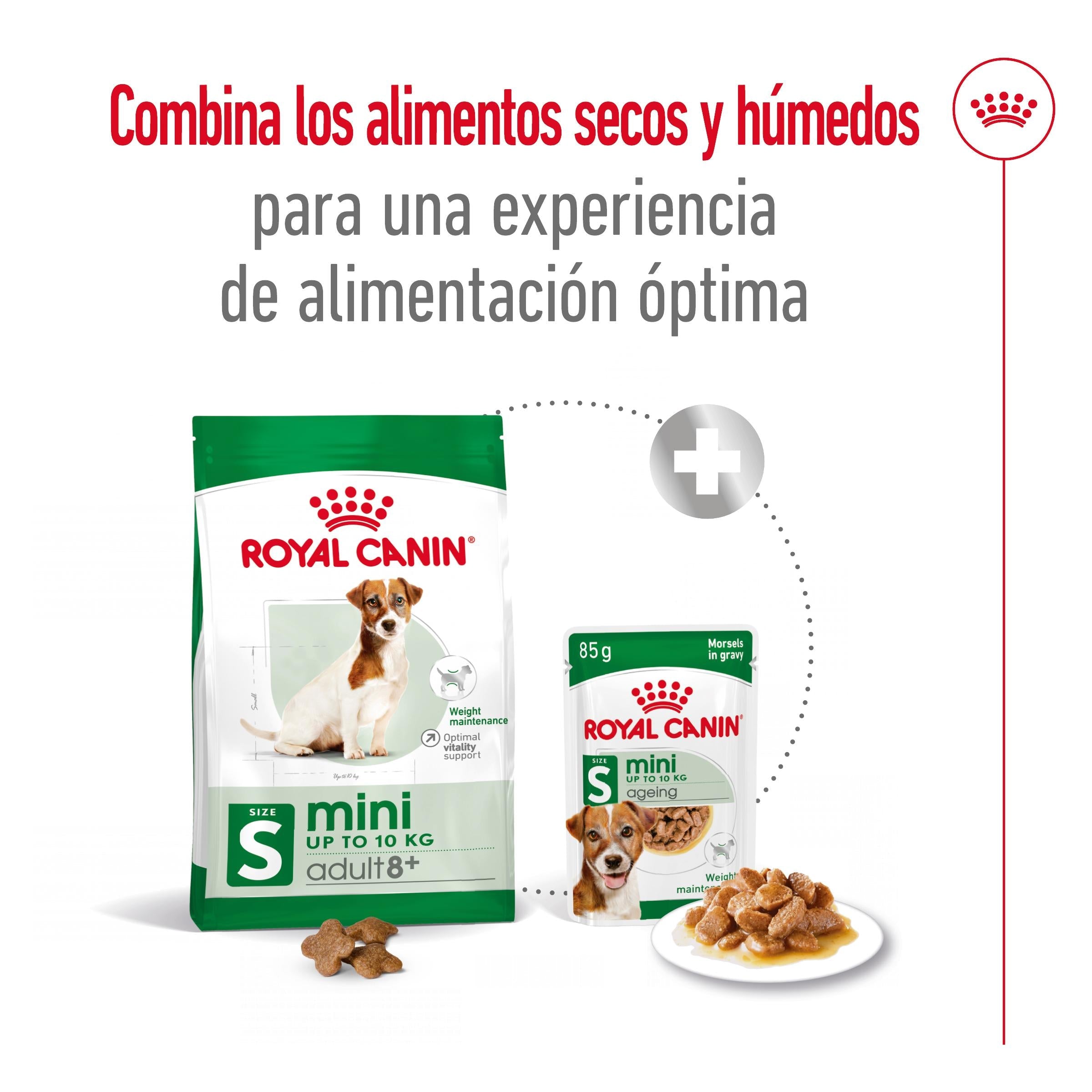 Royal Canin Mini Adult 8+ Pienso para Perros al mejor precio -Todoanimal.es