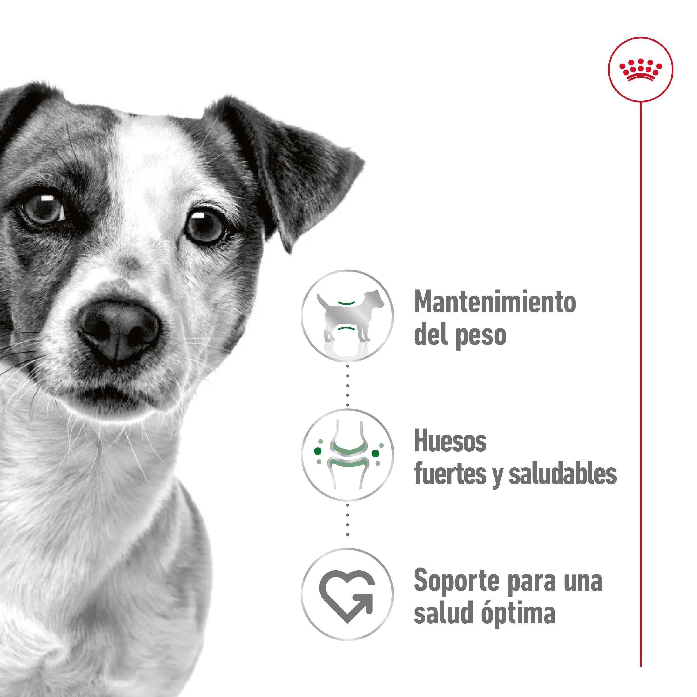 Royal Canin Mini Adult Lata 195 g Paté Húmedo para Perros al mejor precio -Todoanimal.es