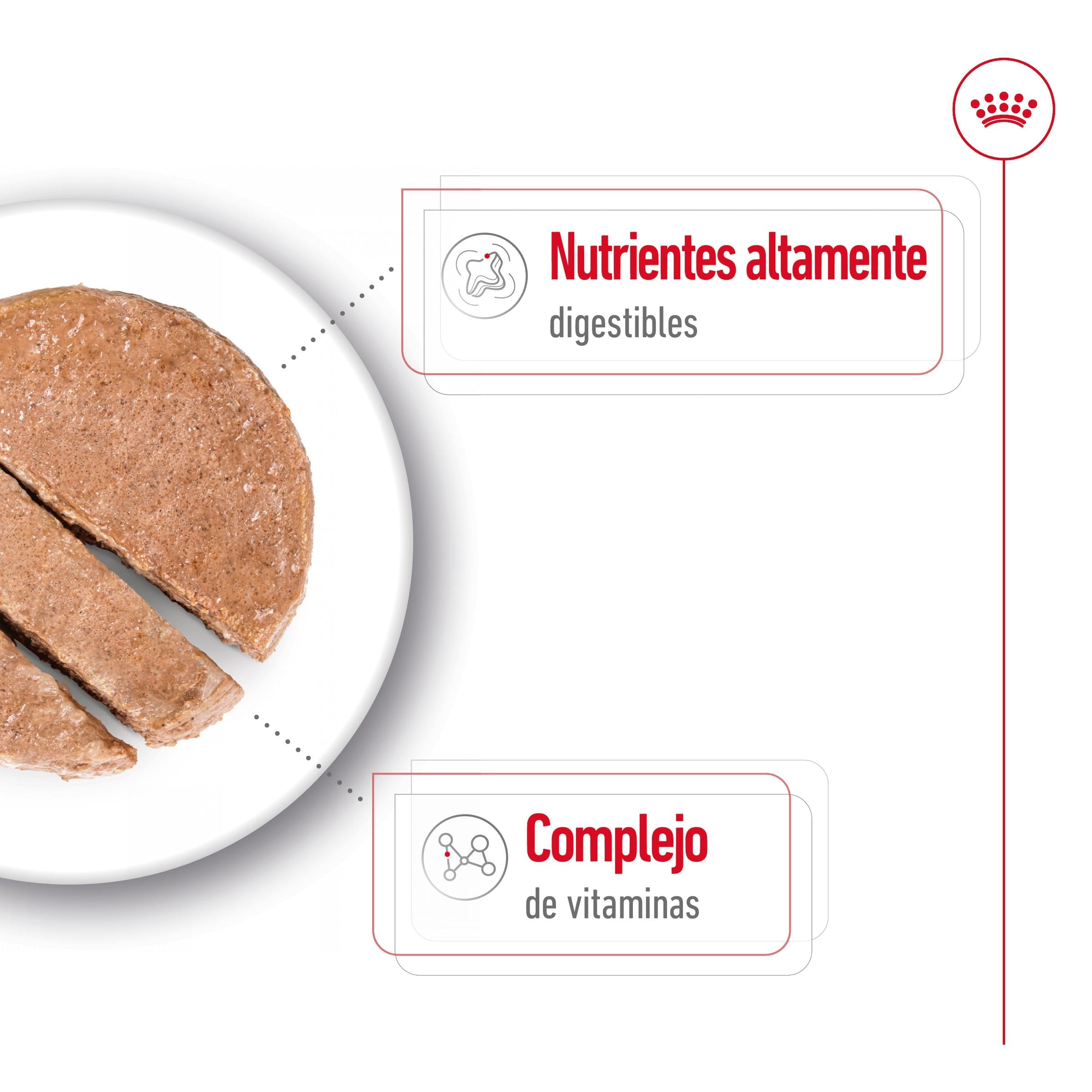 Royal Canin Mini Adult Lata 195 g Paté Húmedo para Perros al mejor precio -Todoanimal.es