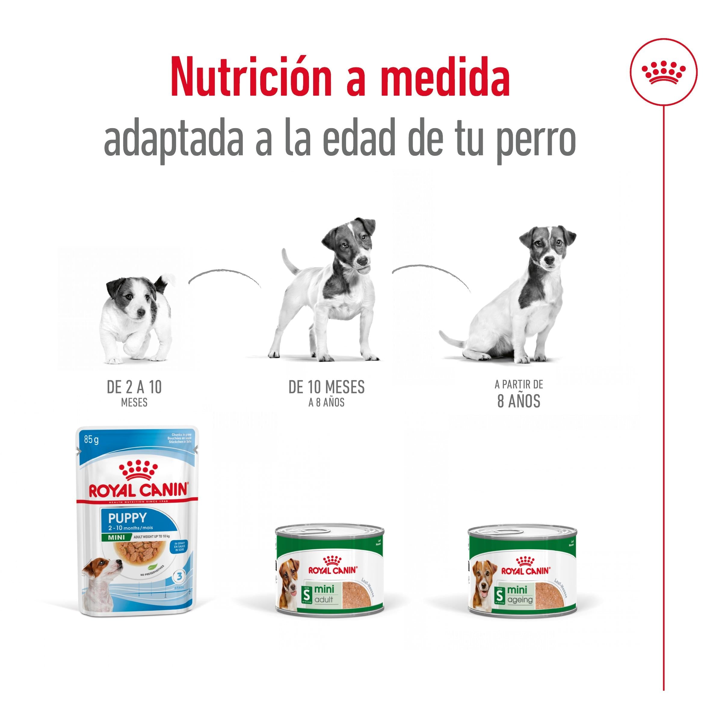 Royal Canin Mini Adult Lata 195 g Paté Húmedo para Perros al mejor precio -Todoanimal.es