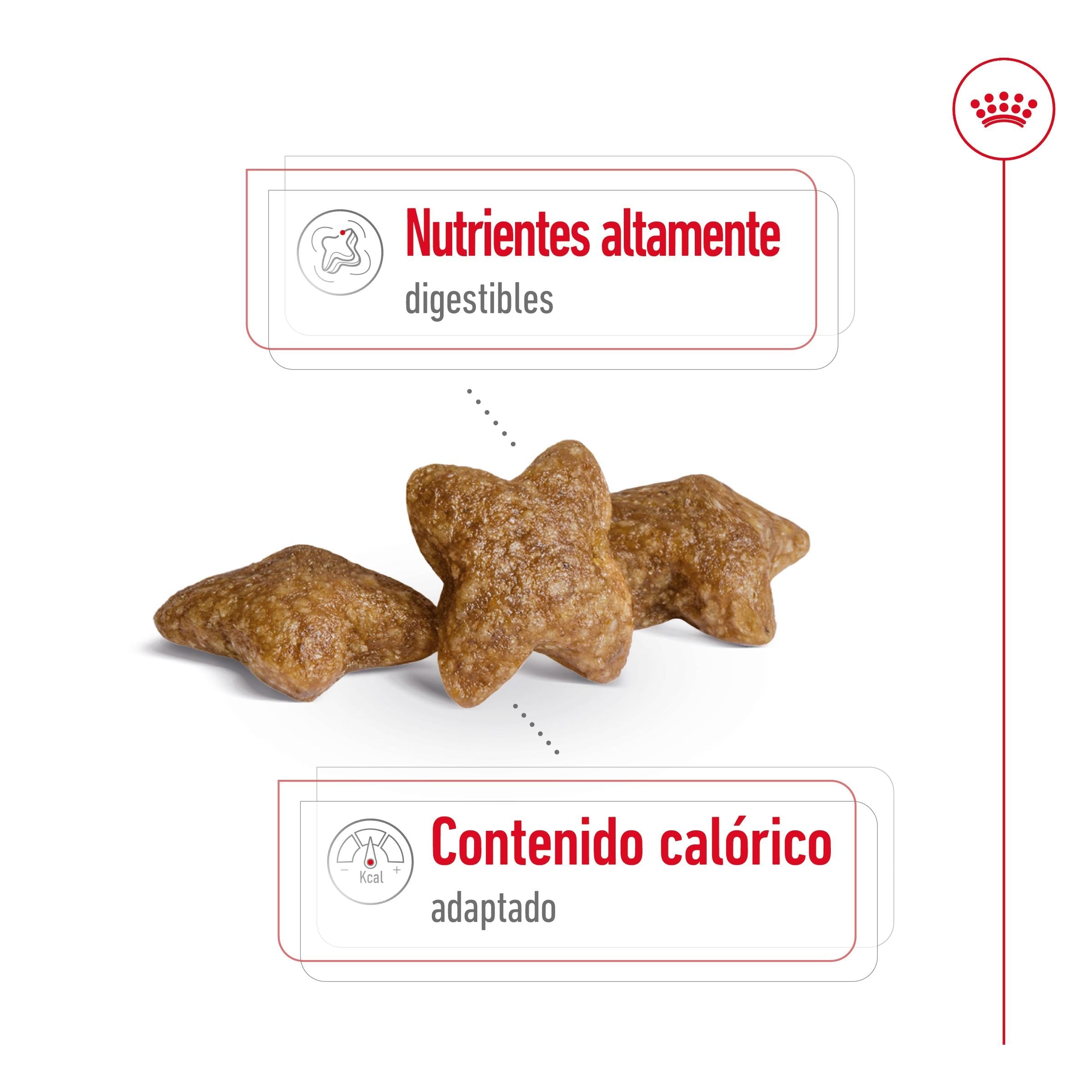 Royal Canin Mini Adult S Pienso para Perros al mejor precio -Todoanimal.es