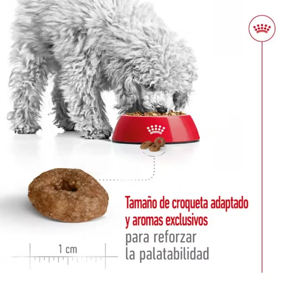 Royal Canin Mini Ageing+12 1.5 kg al mejor precio -Todoanimal.es