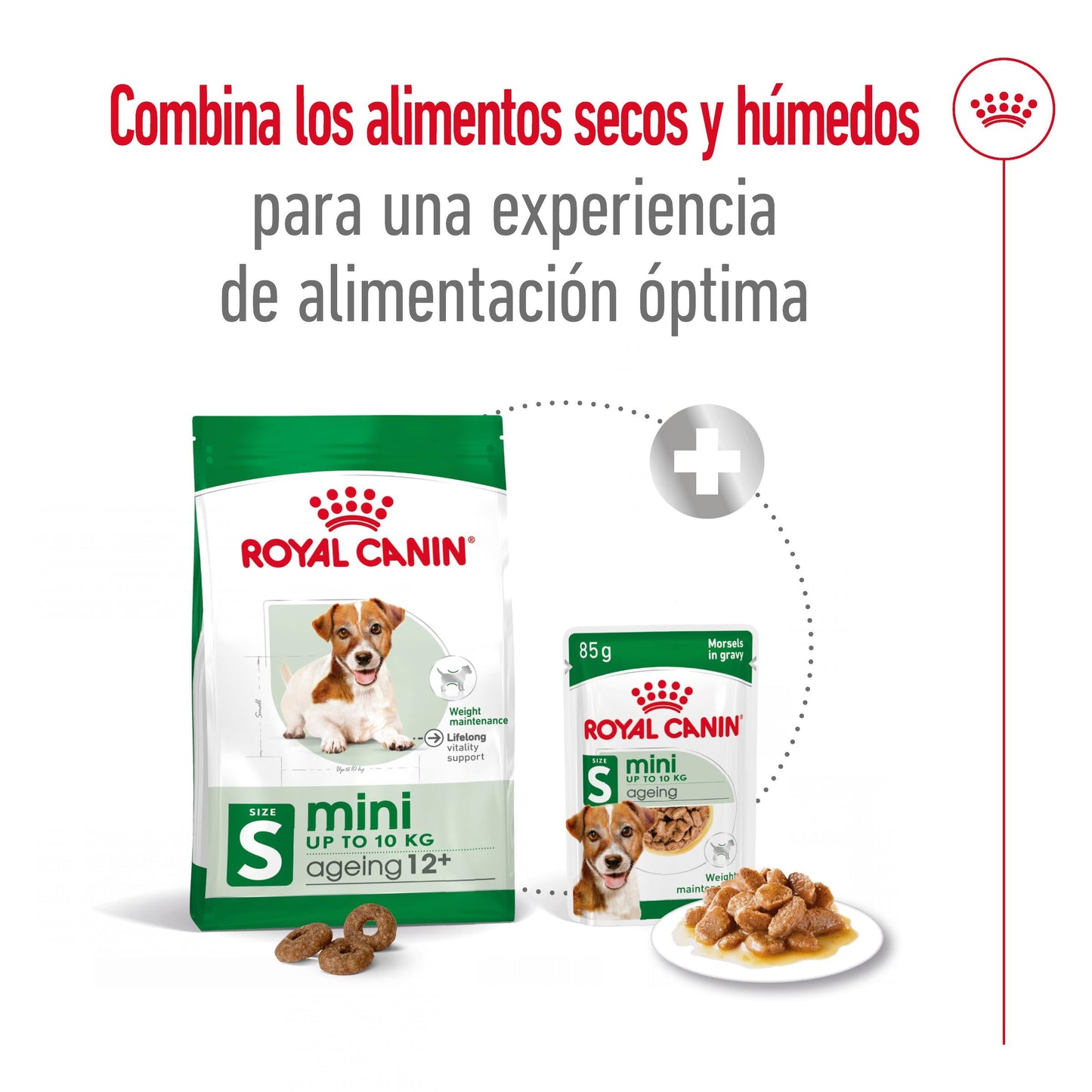 Royal Canin Mini Ageing+12 Pienso para Perros Senior al mejor precio -Todoanimal.es