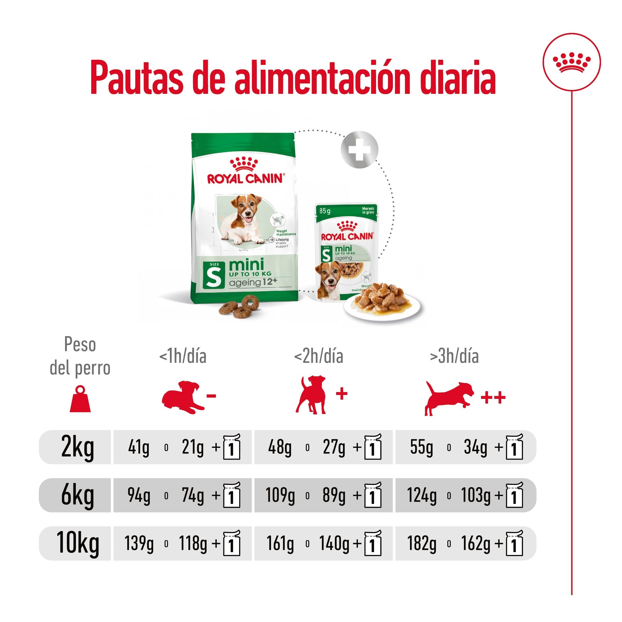 Royal Canin Mini Ageing+12 Pienso para Perros Senior al mejor precio -Todoanimal.es