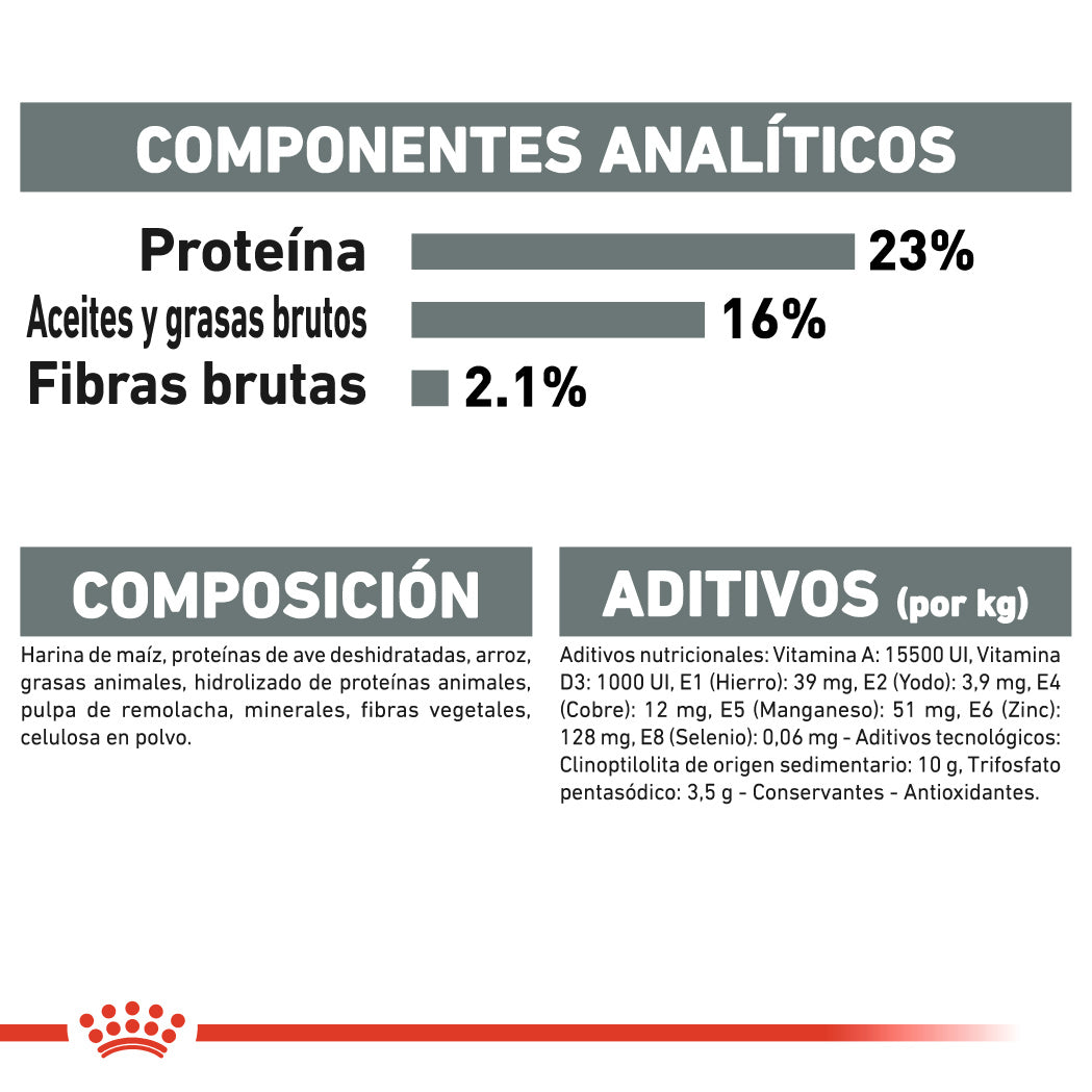 Royal Canin Mini Dental Care Pienso para Perros al mejor precio -Todoanimal.es