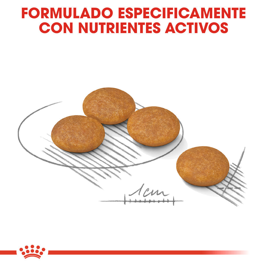 Royal Canin Mini Dermacomfort Care Pienso para Perros al mejor precio -Todoanimal.es