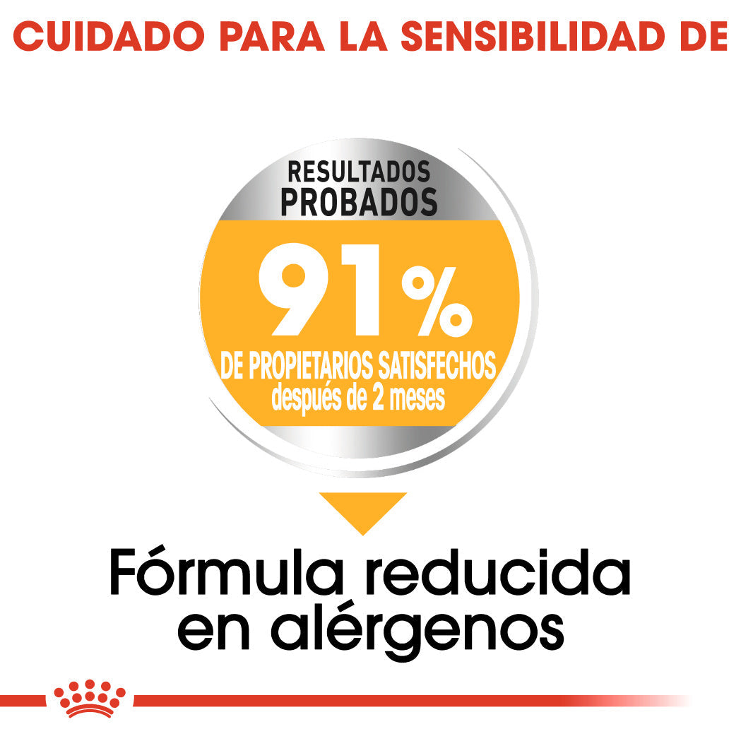 Royal Canin Mini Dermacomfort Care Pienso para Perros al mejor precio -Todoanimal.es