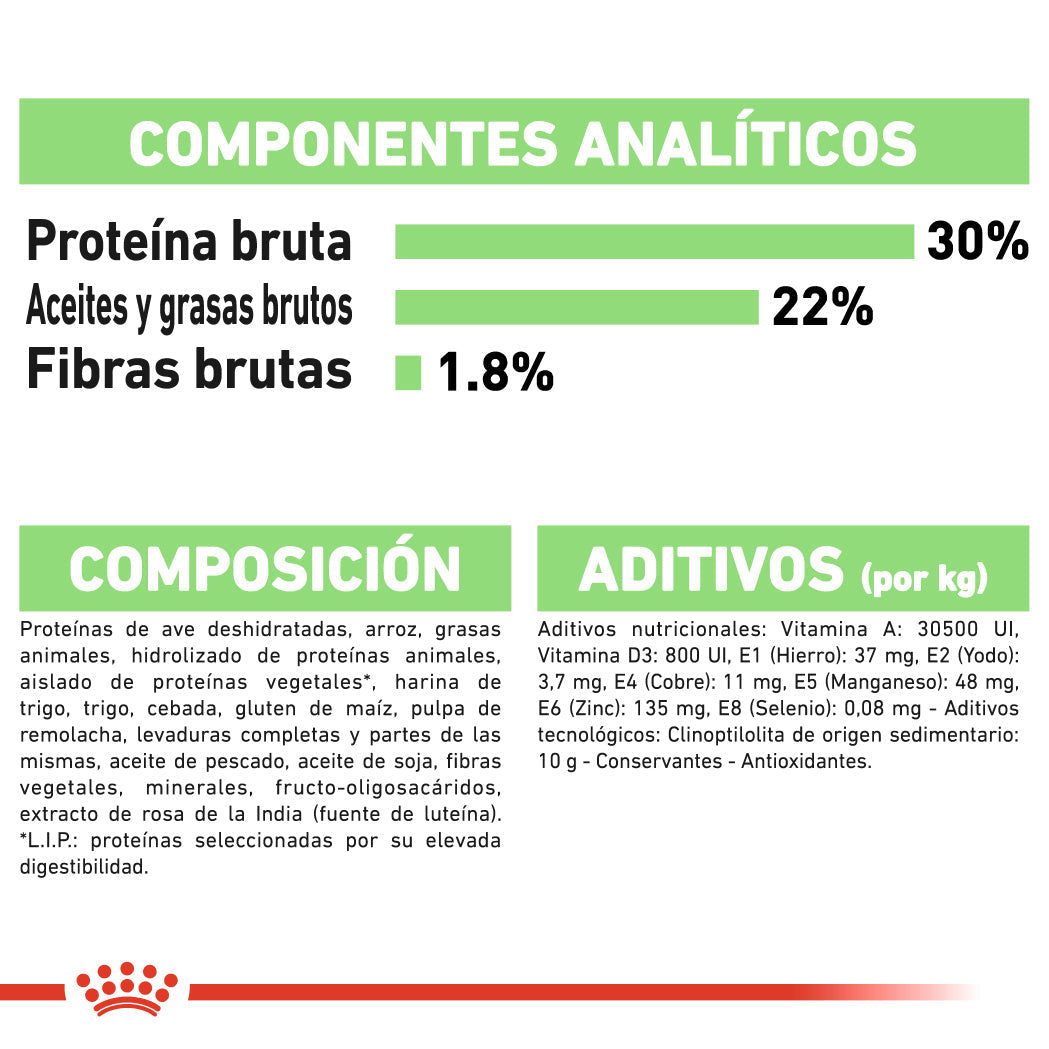 Royal Canin Mini Digestive Care Pienso para Perros al mejor precio -Todoanimal.es