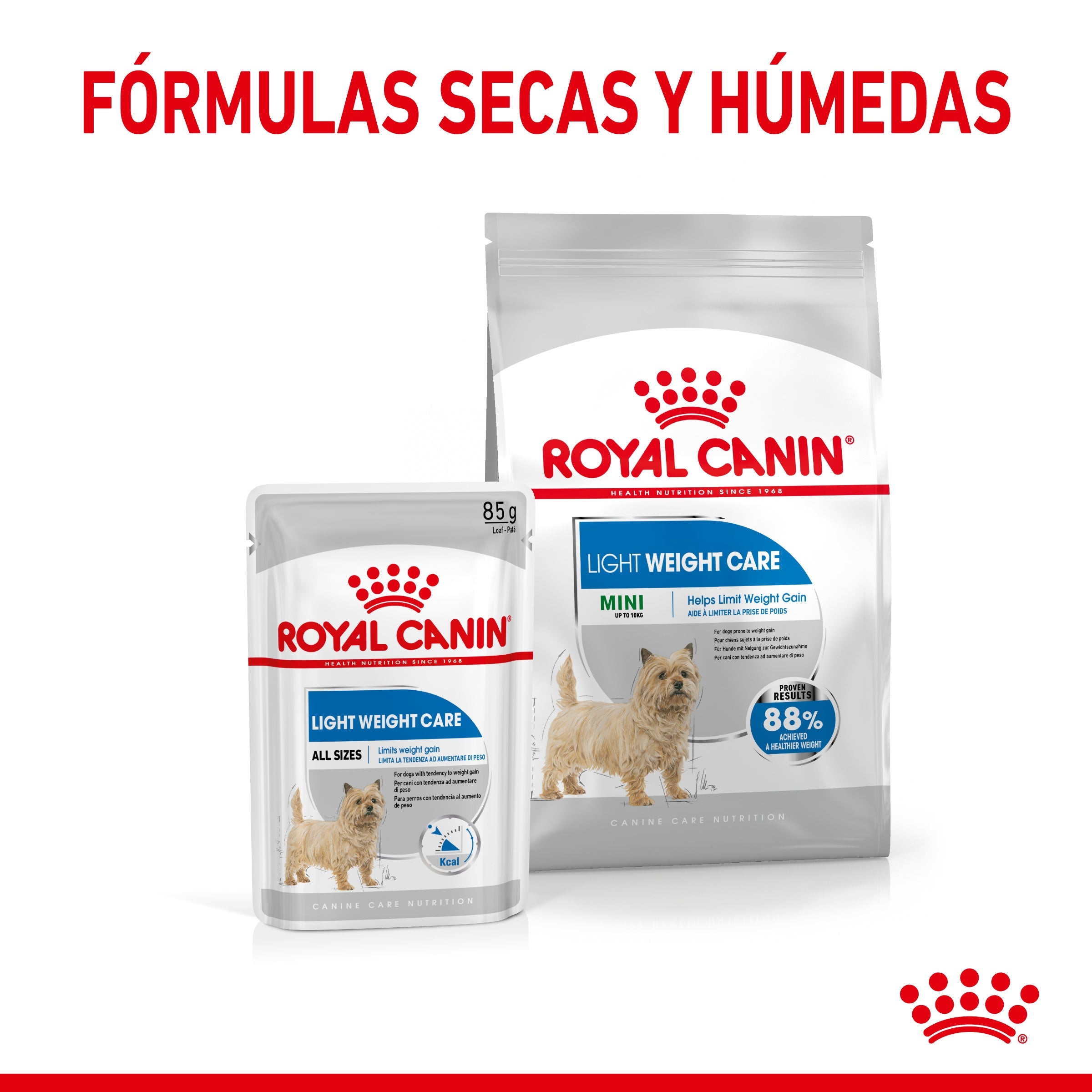 Royal Canin Mini Light Weight Care Pienso para Perros al mejor precio -Todoanimal.es