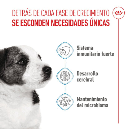 Royal Canin Mini Puppy Pienso para Cachorros al mejor precio -Todoanimal.es