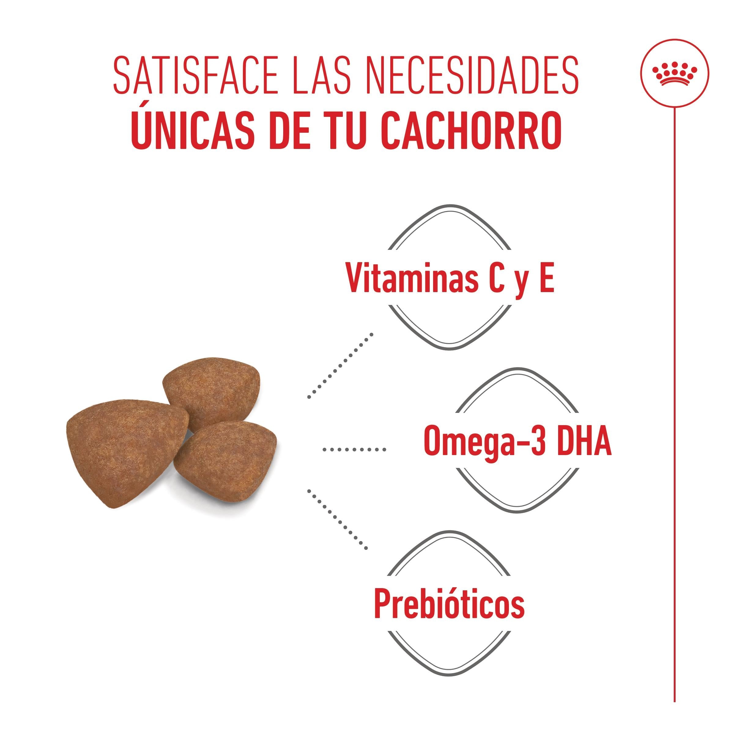 Royal Canin Mini Puppy Pienso para Cachorros al mejor precio -Todoanimal.es