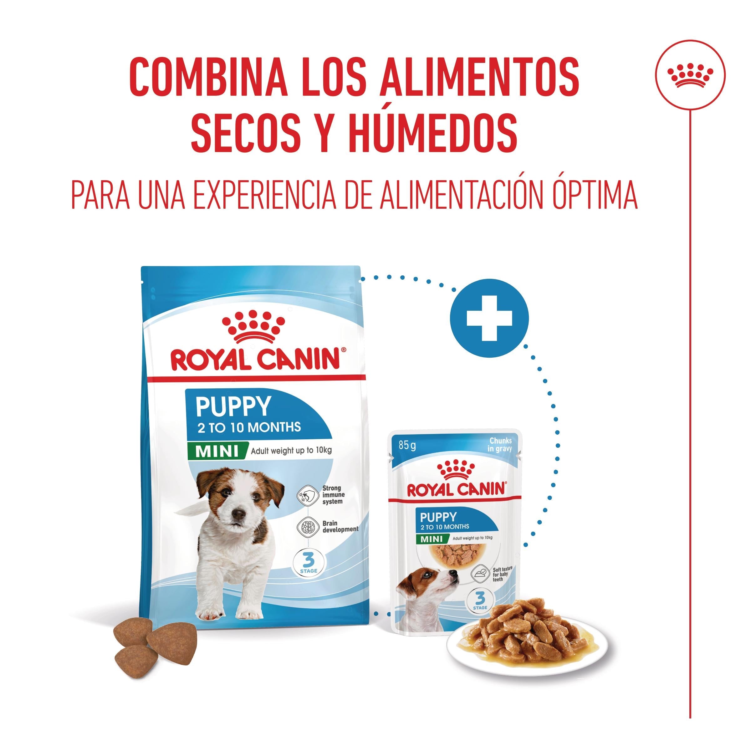 Royal Canin Mini Puppy Pienso para Cachorros al mejor precio -Todoanimal.es