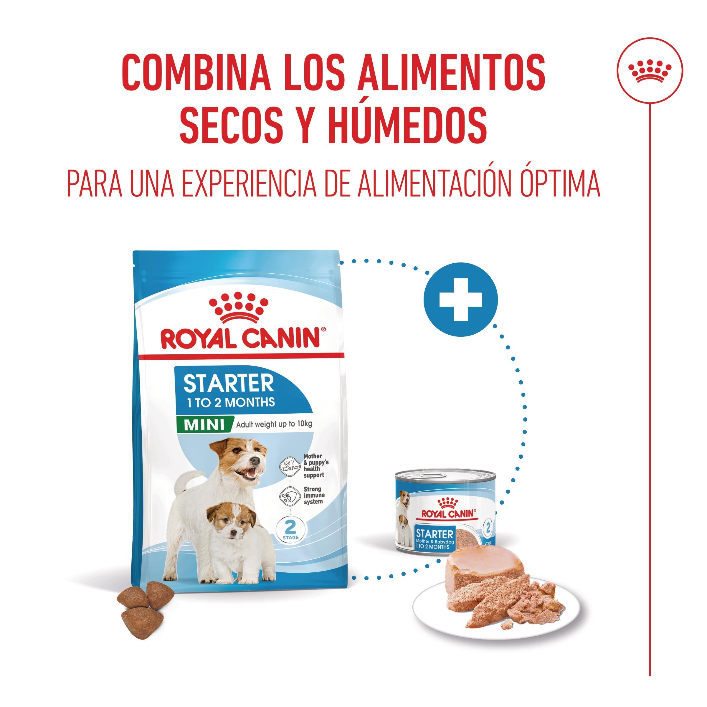 Royal Canin Mini Starter Mother & Babydog Pienso para Cachorros y Madres Lactantes al mejor precio -Todoanimal.es