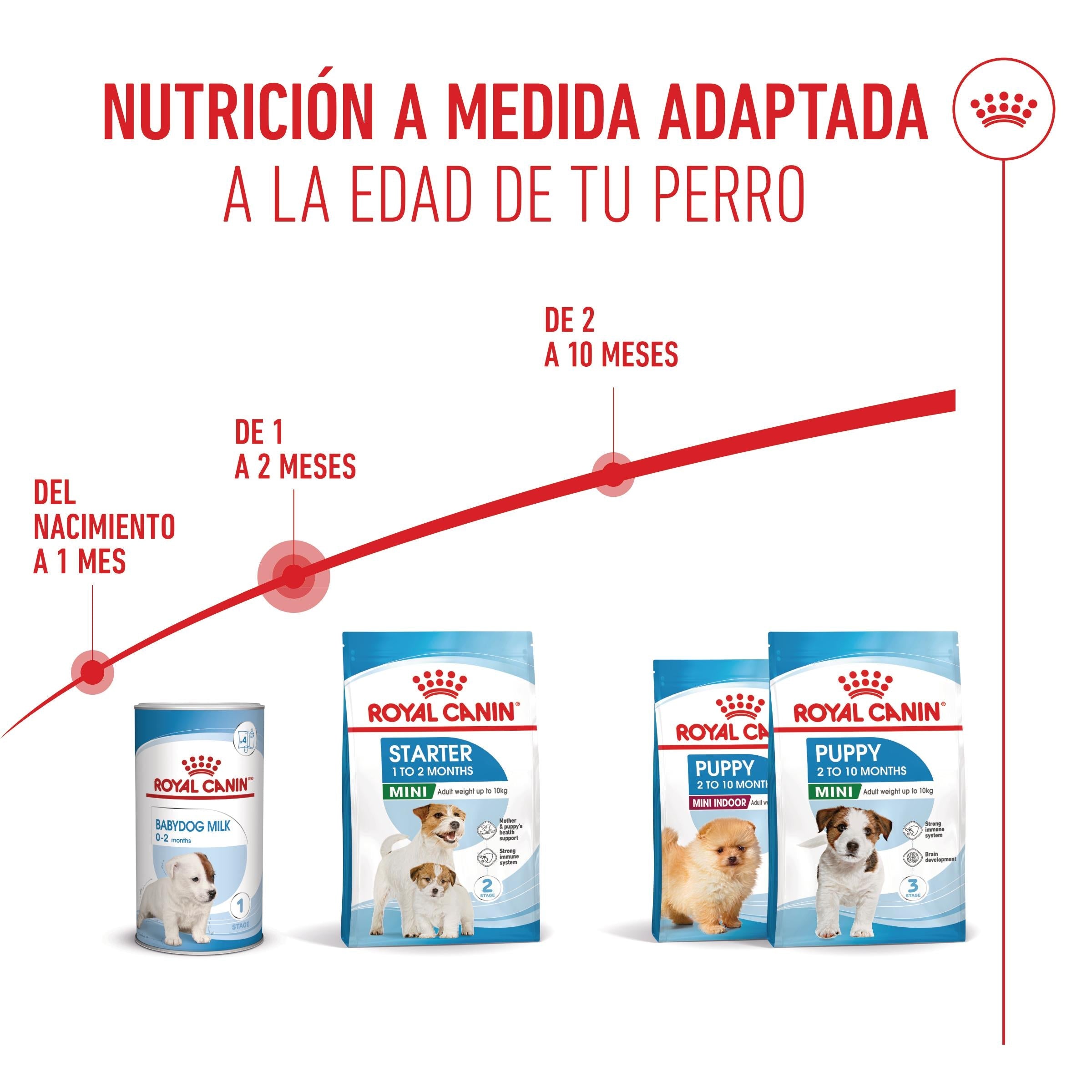 Royal Canin Mini Starter Mother & Babydog Pienso para Cachorros y Madres Lactantes al mejor precio -Todoanimal.es