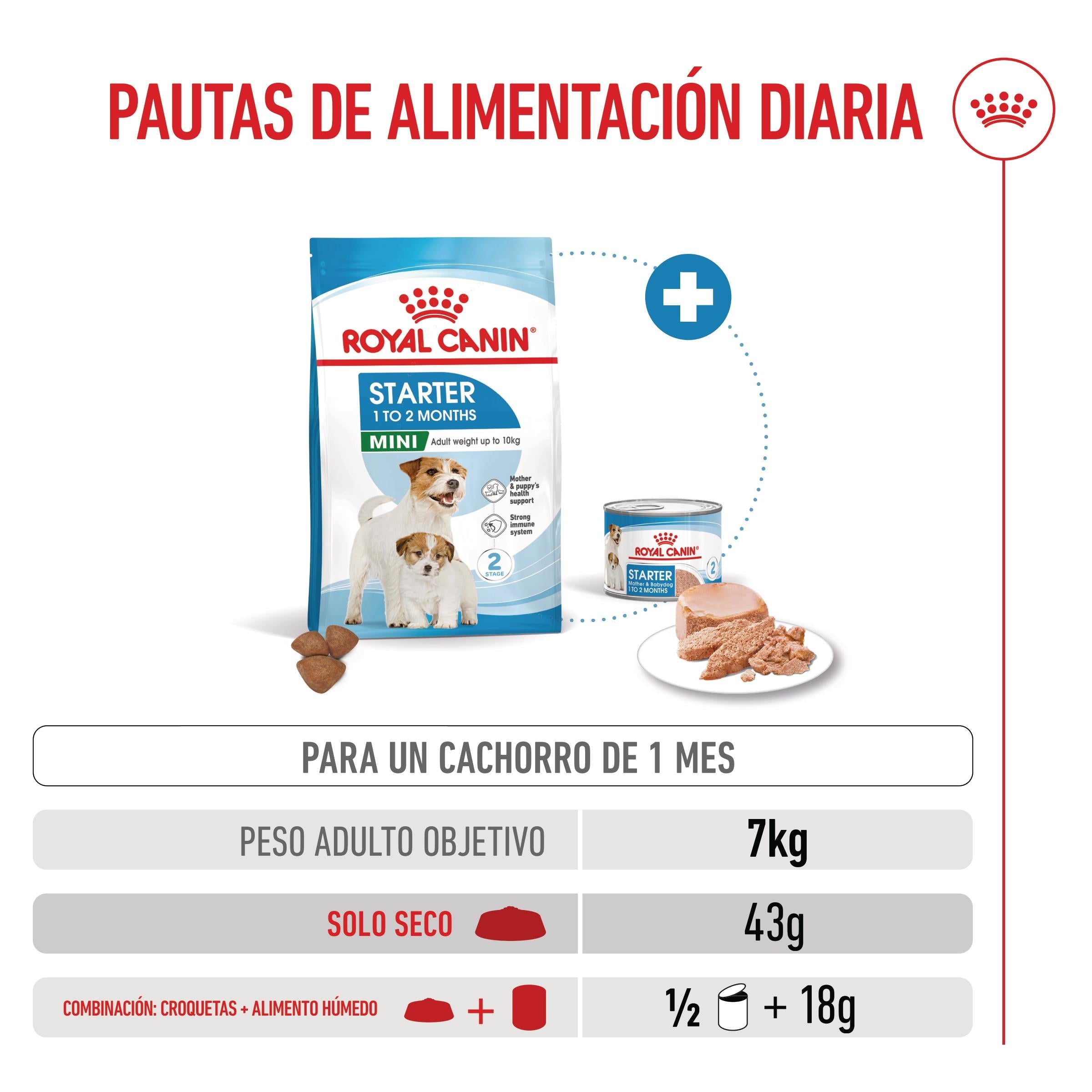 Royal Canin Mini Starter Mother & Babydog Pienso para Cachorros y Madres Lactantes al mejor precio -Todoanimal.es