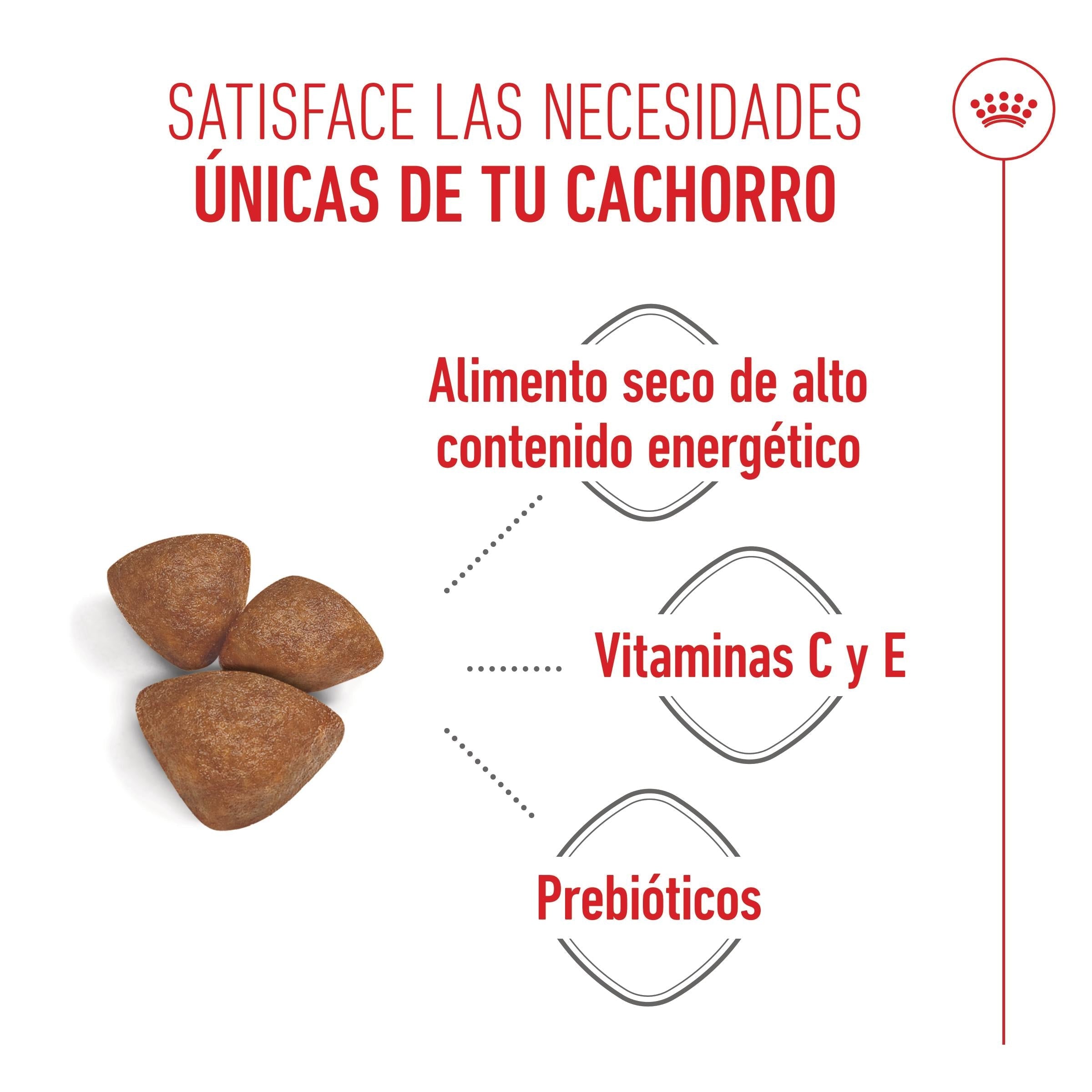 Royal Canin Mini Starter Mother & Babydog Pienso para Cachorros y Madres Lactantes al mejor precio -Todoanimal.es