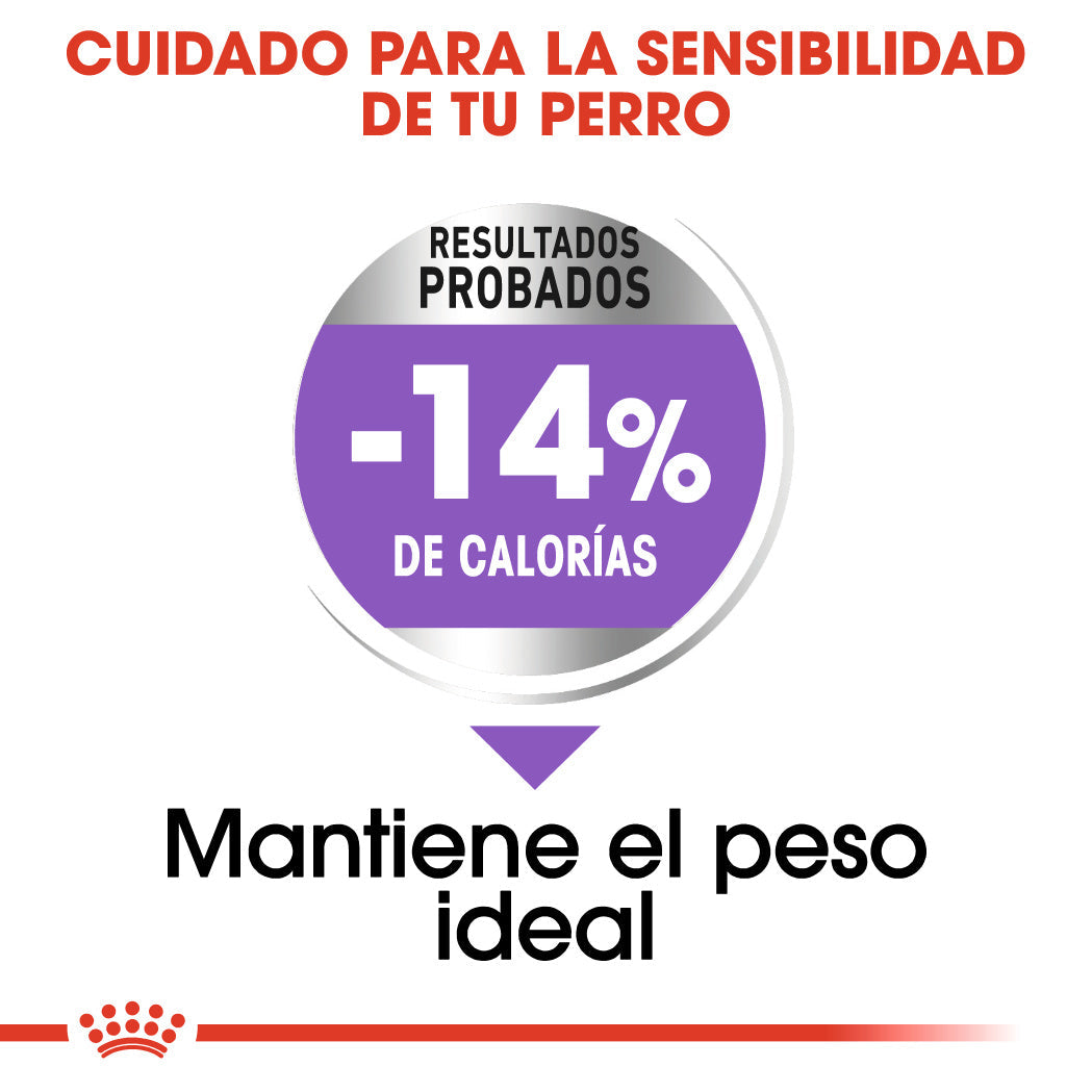 Royal Canin Mini Sterilized Care Pienso para Perros Esterilizados al mejor precio -Todoanimal.es