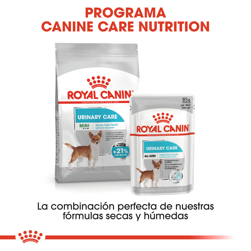 Royal Canin Mini Urinary Care Pienso para Perros al mejor precio -Todoanimal.es